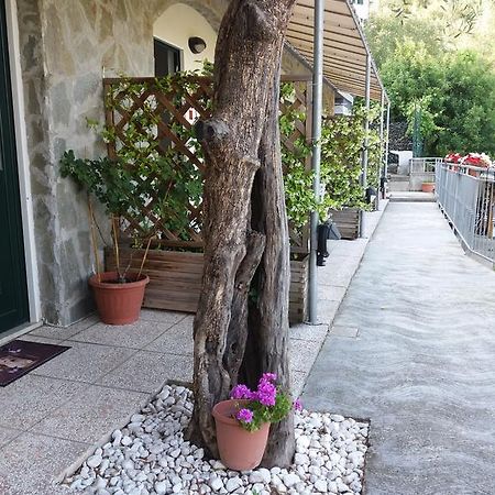 Affittacamere Arabafenice Vezzano Ligure Exterior photo